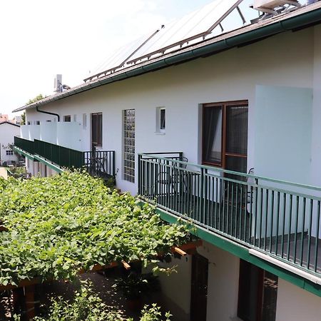 Pension Daniela Steiner Podersdorf am See Extérieur photo